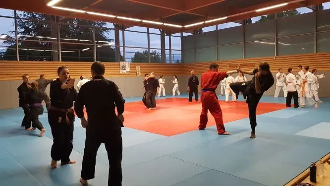 Séance d'entraînement au dojo, au Gymnase de l'Albanais